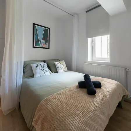 Le Duplex - Grand Centre Avec Parking Prive * Vichy